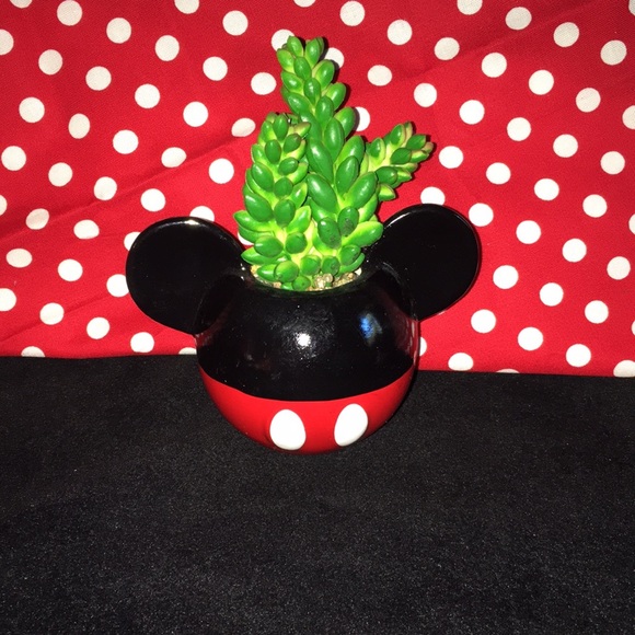 New Mickey and Minnie Mini Planters with Artificial plants - Picture 3 of 7